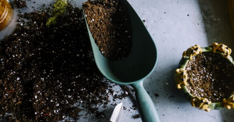 seedlings-april